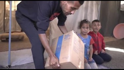 Pam: il cessate il fuoco a Gaza è "essenziale" per salvare vite umane