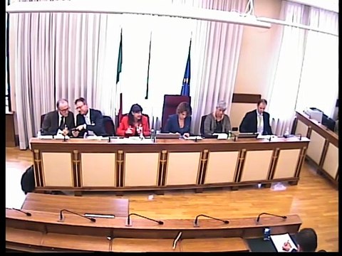 Roma - ​Transizione demografica, audizione sindacati (21.10.25)