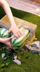 Des solutions de jardinage créatives qui fonctionnent vraiment