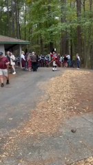 Rosie O'Grady's Highlanders at the Stone Mountain Highland Games in Stone Mountain, GA 💙❤️