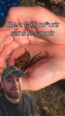 Ne fais jamais comme Virginie 💀