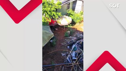Cães são encontrados desnutridos e um morto em casa abandonada no bairro Neva