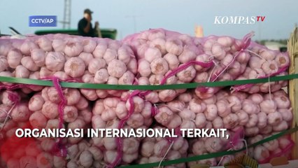 Israel Buka Perbatasan, Iring-iringan Truk Bawa Bantuan untuk Gaza