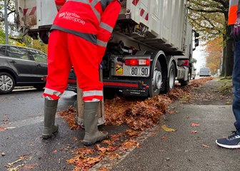 Ramassage des feuilles mortes à Nantes