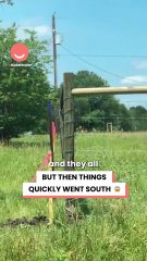 Karen thinks she owns my backyard 😡