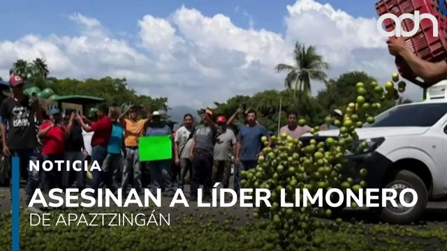 Asesinan a Bernardo Bravo, líder limonero que denunció extorsiones y atrapan a presunto responsable