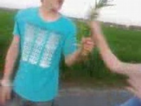 Délires sur la route (Cass, Kevin, Melabill et Moi)