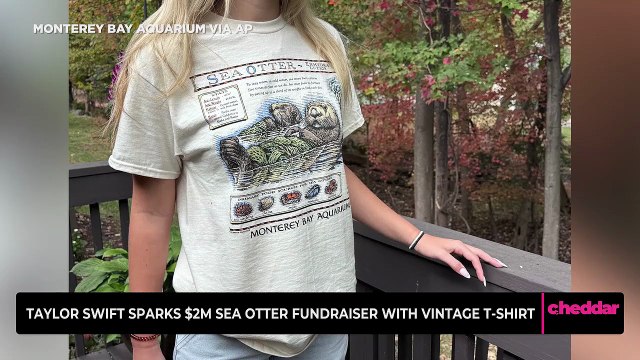Taylor Swift Sparks $2M Sea Otter Fundraiser with Vintage T-Shirt
