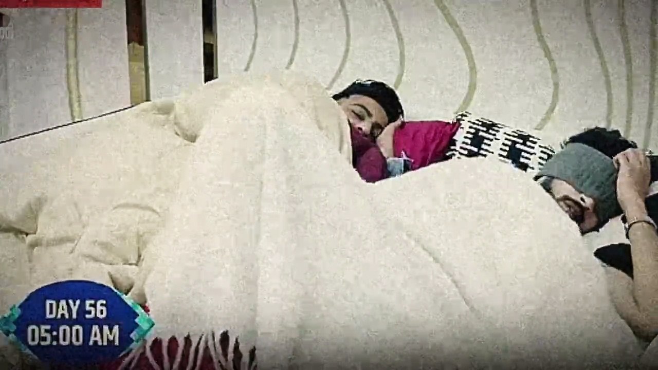 Bigg Boss 19 LIVE - Amaal Ki Condition Hai Serious Shehbaz Ne Sambhla | Episode 59 dailymotion