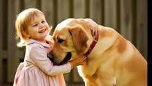 The Brave Labrador | A Heart-Touching Rescue Story That’ll Melt Your Heart ❤️🐾