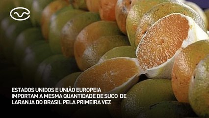 EUA e União Europeia importam a mesma quantidade de suco de laranja do Brasil pela primeira vez
