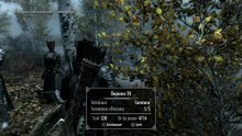 The Elder Scrolls V: Skyrim - Legendary Edition online multiplayer - ps3