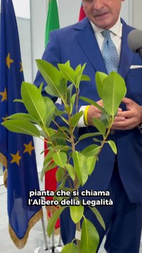 Cirio - L'Albero della Legalità di Giovanni Falcone (21.10.25)