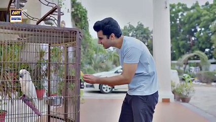 Chaalbaaz Episode 11 _ 21 October 2025 _ Hammad Shoaib _ Zoha Tauqeer _ ARY Digital(360P)