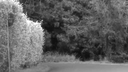 Bebé de dos meses apareció muerto en una canaleta de desagüe de una fundación del ICBF en Cali: esto se sabe