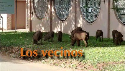 Victoria Falls parte 1 2025