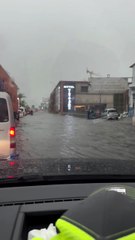 Únete a la campaña “Menos policías acostados, mejor drenaje”