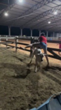 Calf Attacks and Knocks Down Woman