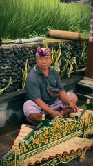 Rindik Bali adalah alat musik tradisional Bali yang terbuat dari bambu yang dipukul, mirip dengan xilofon.#RindikBali #Rindik #AlatMusikTradisional #Jatiluwih #NgurahSuryaKusuma