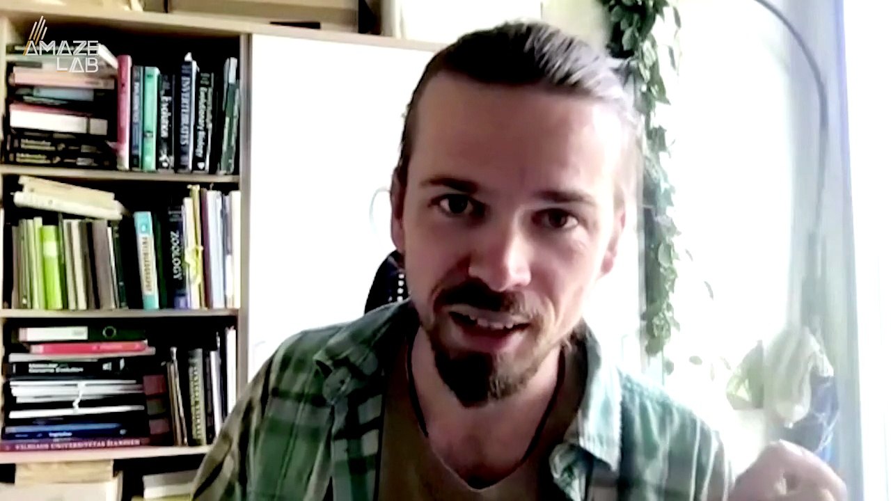 Tiny Pants on Poisonous Frogs? Yeah, We Don’t Understand Why Either!