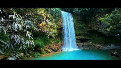 Aqua. Cuidarla es cuidarnos | movie | 2025 | Official Trailer