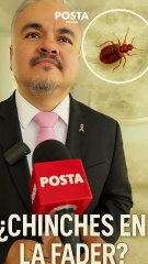 😳 ¿Hay una plaga de chinches en la Facultad de Derecho de la UJED? Esto fue lo que dijo el director 📚