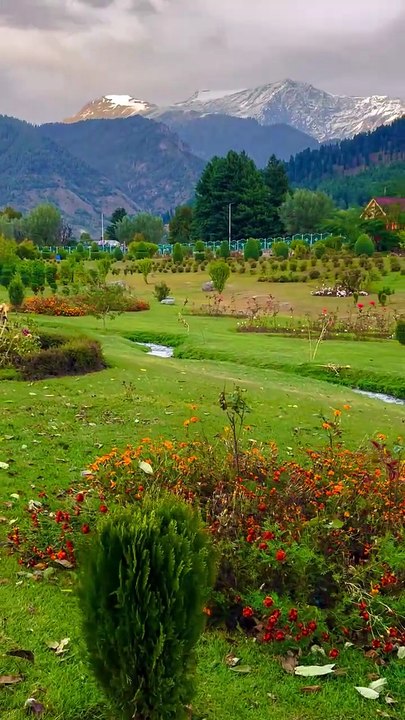 Every view in Kashmir feels like a living postcard — rivers, flowers, and mountains blending into pure magic 🏞️✨