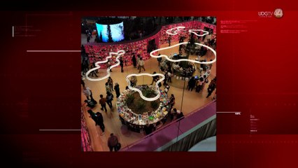 Ganadora del Premio FIL Joven de poesía lanzan club de lectura dedicado por completo a la poesía