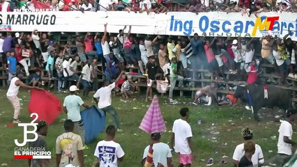 Corralejas Ballestas 2025 | Toros de JJ Bertel