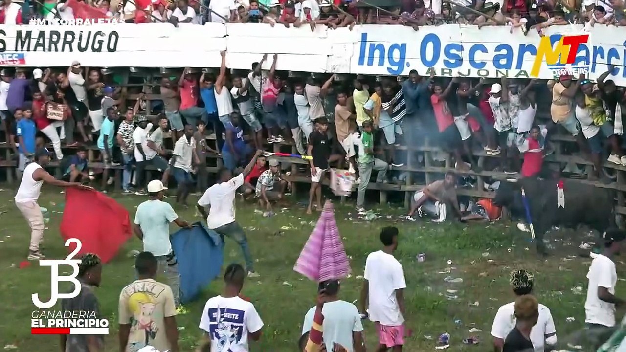 Corralejas Ballestas 2025 | Toros de JJ Bertel