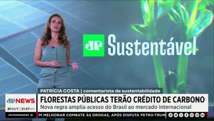 Florestas públicas vão gerar crédito de carbono | JP SUSTENTÁVEL