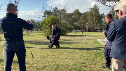 Defence Dogs memorial unveiled
