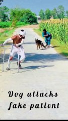 Dog attacks fake patient