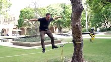 A Robot That Walks, Flies, Skateboards, Slacklines