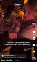 Cachorro de león en exclusiva fiesta de México desata indignación