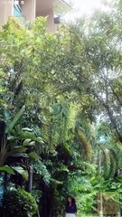 Hooked At First Sight - Full Movie