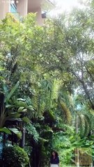 Hooked At First Sight