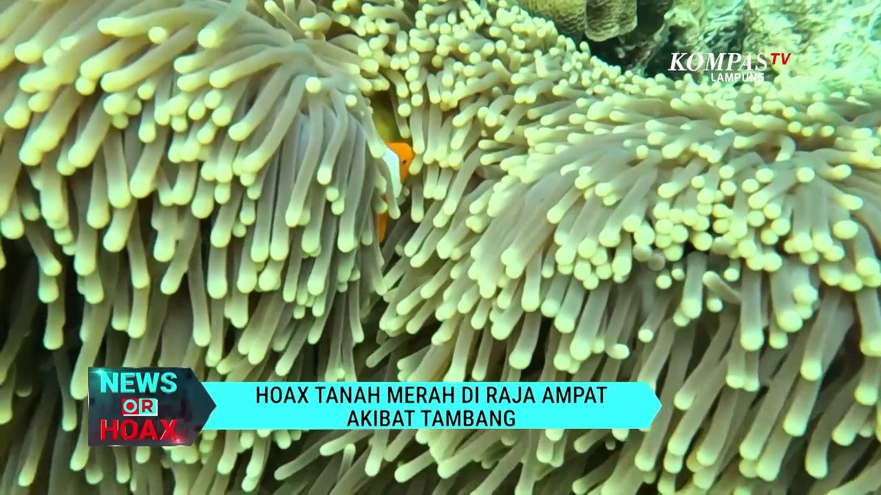 Hoax Tanah Merah di Raja Ampat Akibat Tambang - Video Dailymotion