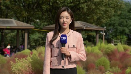 [날씨] 이른 추위 누그러져, 서울 낮 19℃...억새축제 찾은 시민들 / YTN