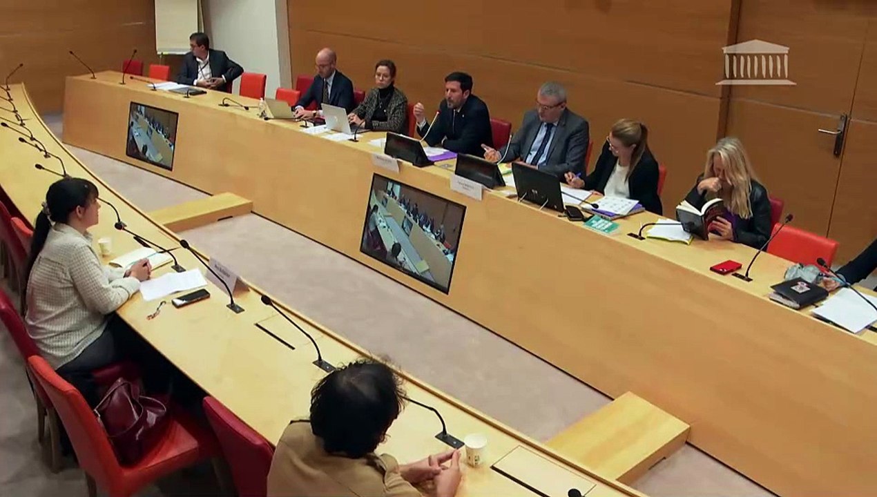 Mouvements politiques et islamisme : Mme Nora Bussigny, journaliste - Mardi 21 octobre 2025