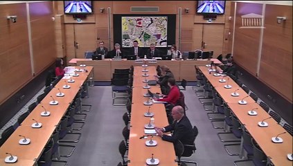 Prise en charge de la santé mentale et du handicap : Mme Céline Greco, cheffe du service de médecine de la douleur et de médecine palliative à l’hôpital Necker-Enfants malades - Mardi 21 octobre 2025