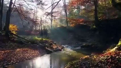 MY Secret 0f Seer EP1 Eng Sub