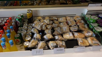 LAYOVER IN LONDON HEATHROW  TRAVEL VLOG (2021)