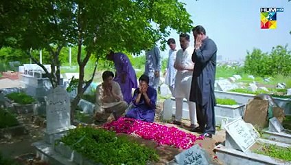 Laadli Last Episode 86 - 18 October 2025 - HUM TV