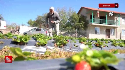 Isparta'da yaşayan İbrahim dede bahçesindeki ürünleri ziyaretçilere ücretsiz ikram ediyor