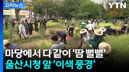 [자막뉴스] 모자 쓰고 낫 들고 시청 마당으로..."시민들께 나눠드릴래요" / YTN