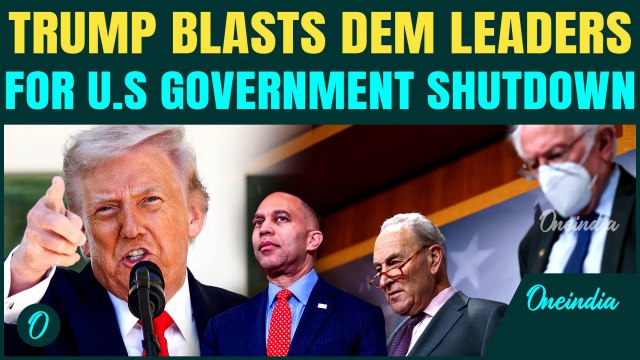 'I Think He’s Mentally Gone!': Trump BLASTS Schumer, Calls Him ‘Gonzo’ for U.S Government Shutdown