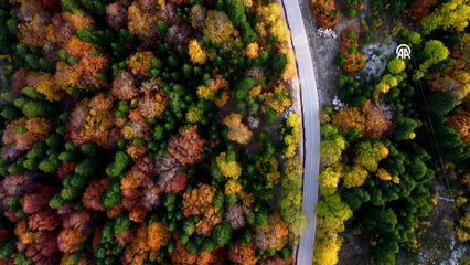 Uludağ\'da sonbahar renkleri büyüledi