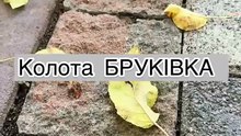 kolota_brukivka_01