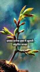 Swati Nakshatra in Vedic Astrology 🌬️ | स्वाती नक्षत्र के रहस्य और प्रभाव | #SwatiNakshatra #VedicAstrology #CelestialJyotish